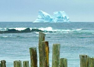 iceberg watching in Newfoundland